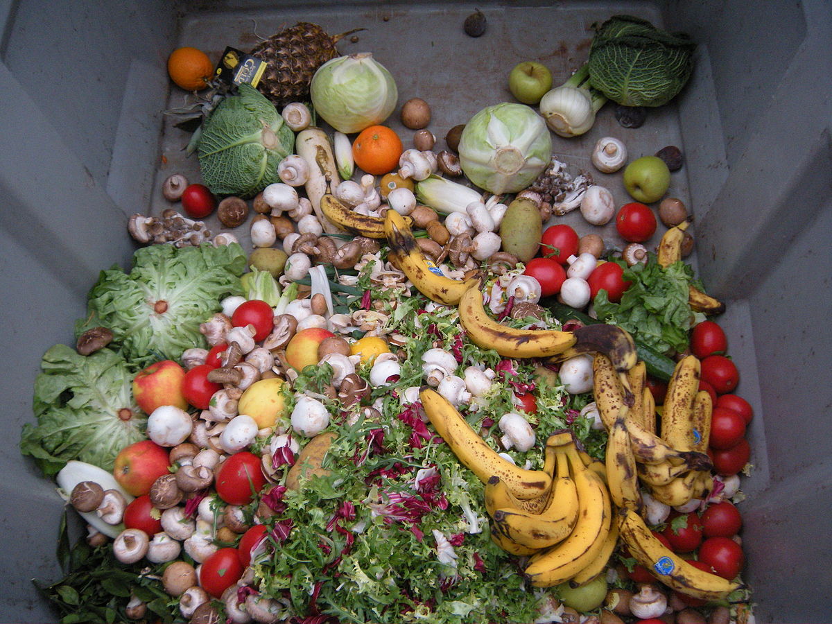 Trashed_vegetables_in_Luxembourg.jpeg