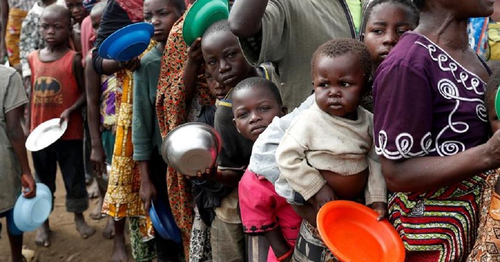 maize and wheat can help Africa