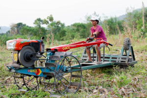 Enriching soil and feeding children by green velvet beans in Timor-Leste