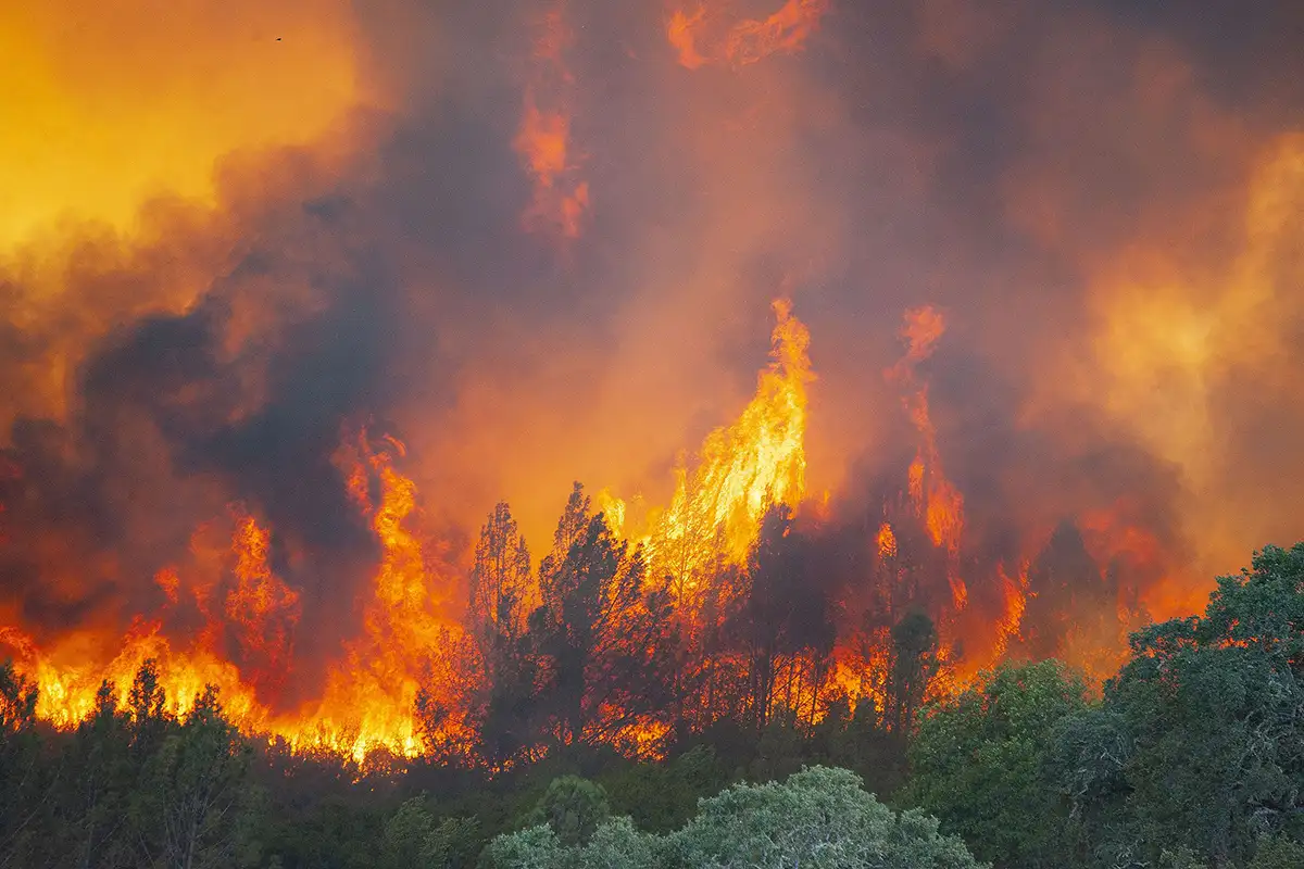 Los Angeles wildfires