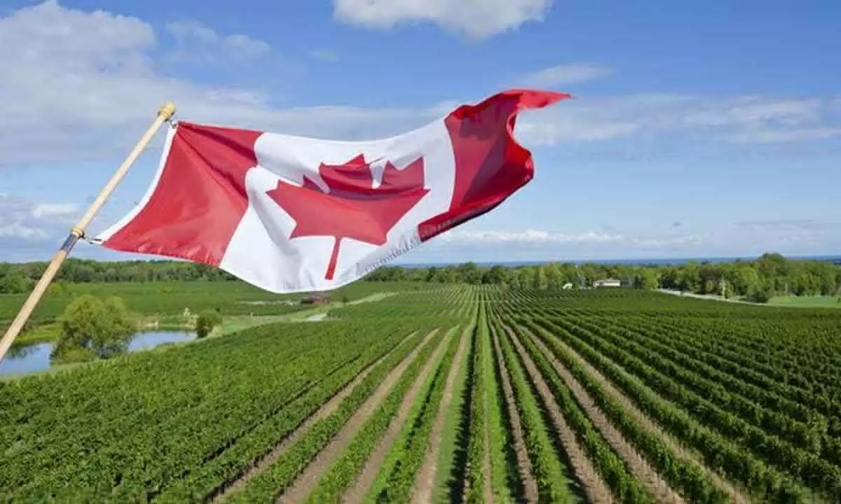 Canadian farm sector