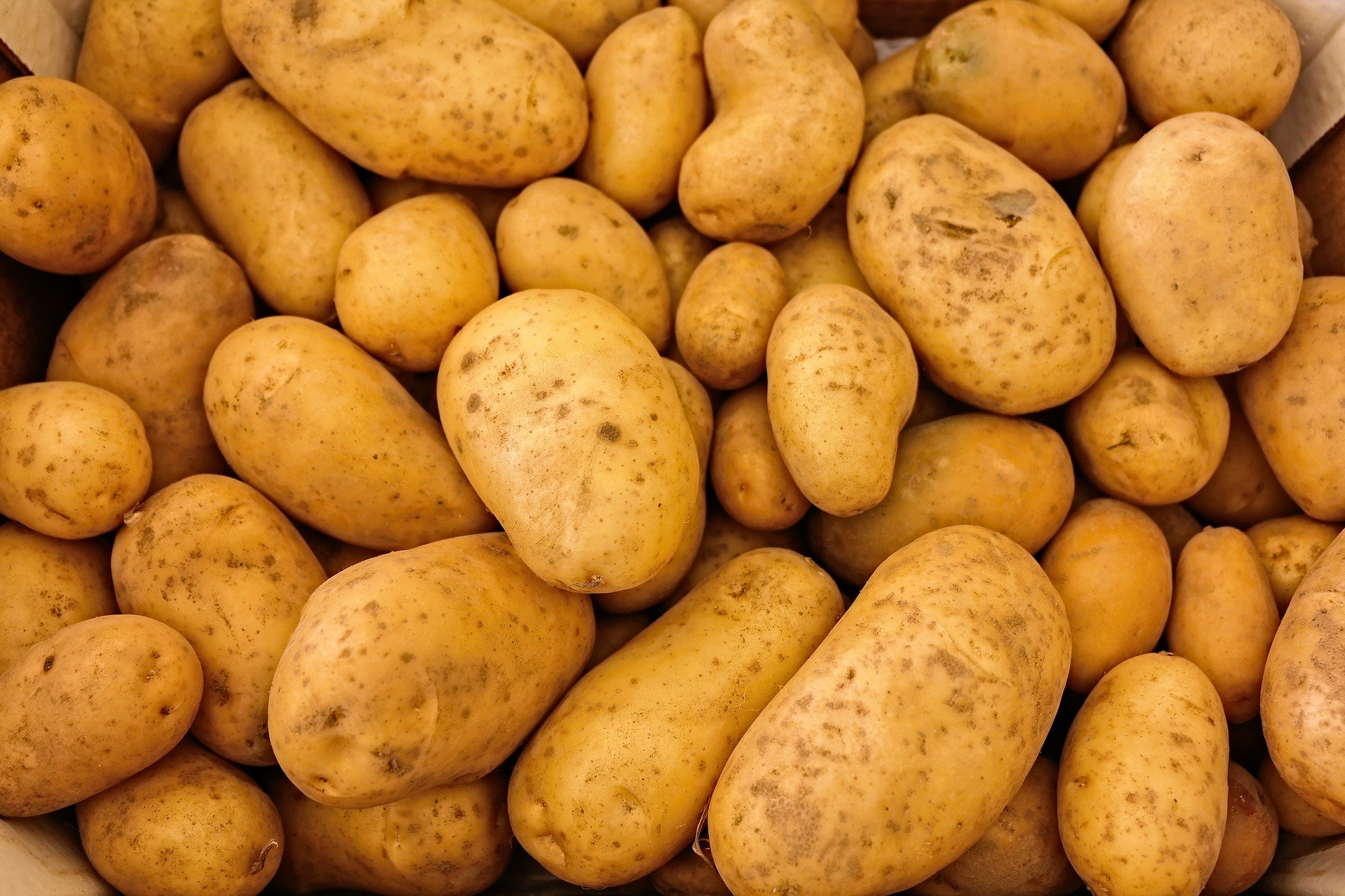 Potato protein will decrease greenhouse gases