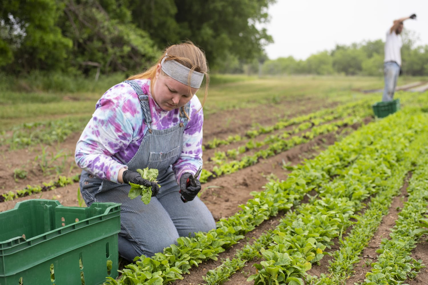 2 US farmers
