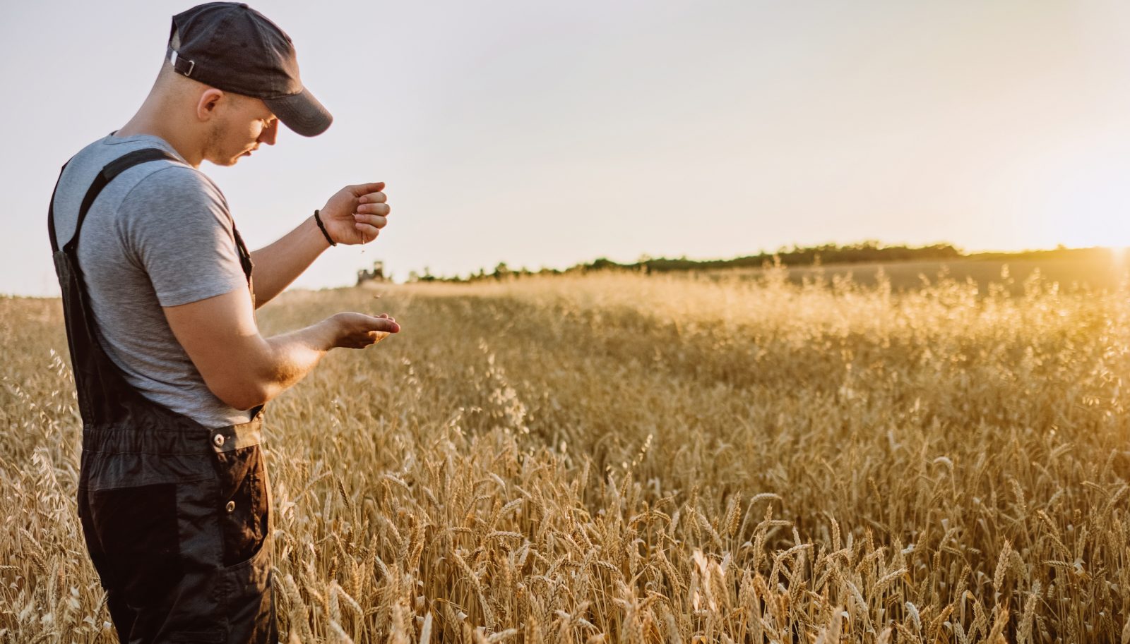 U.S. farmers are struggling