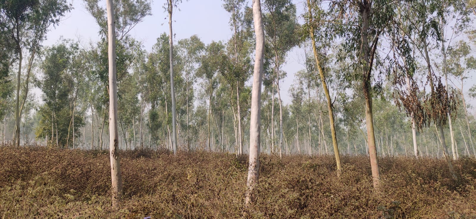 Organic compost in Nepal transformation