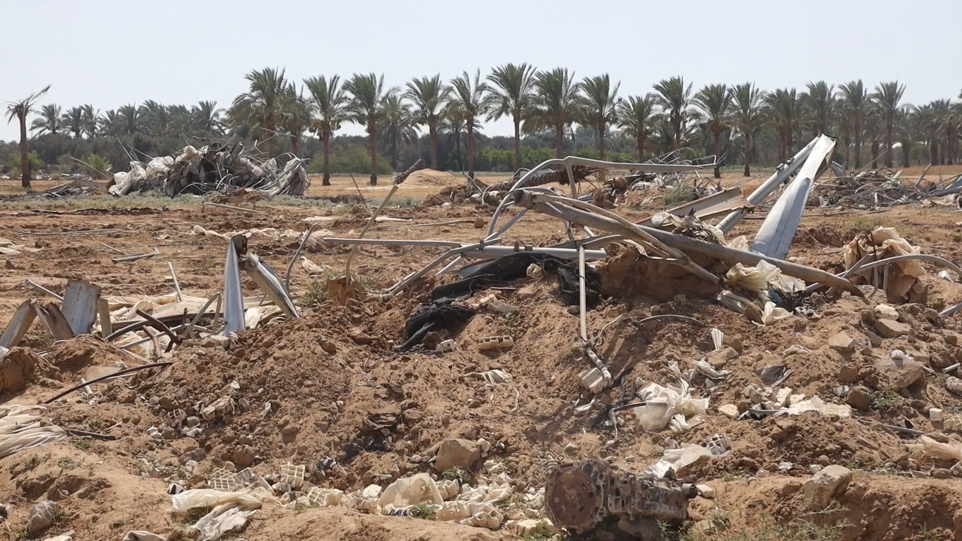 Gaza's cropland is destroyed