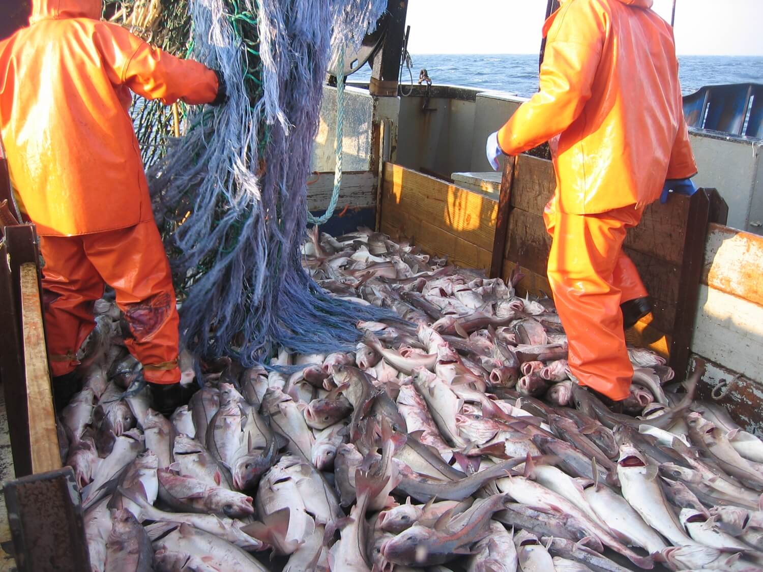 fishery stocks are recovering