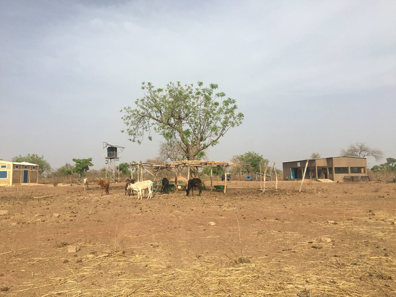 agricultural land degradation