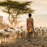 Africa has relied on diverse food sources for centuries (study)