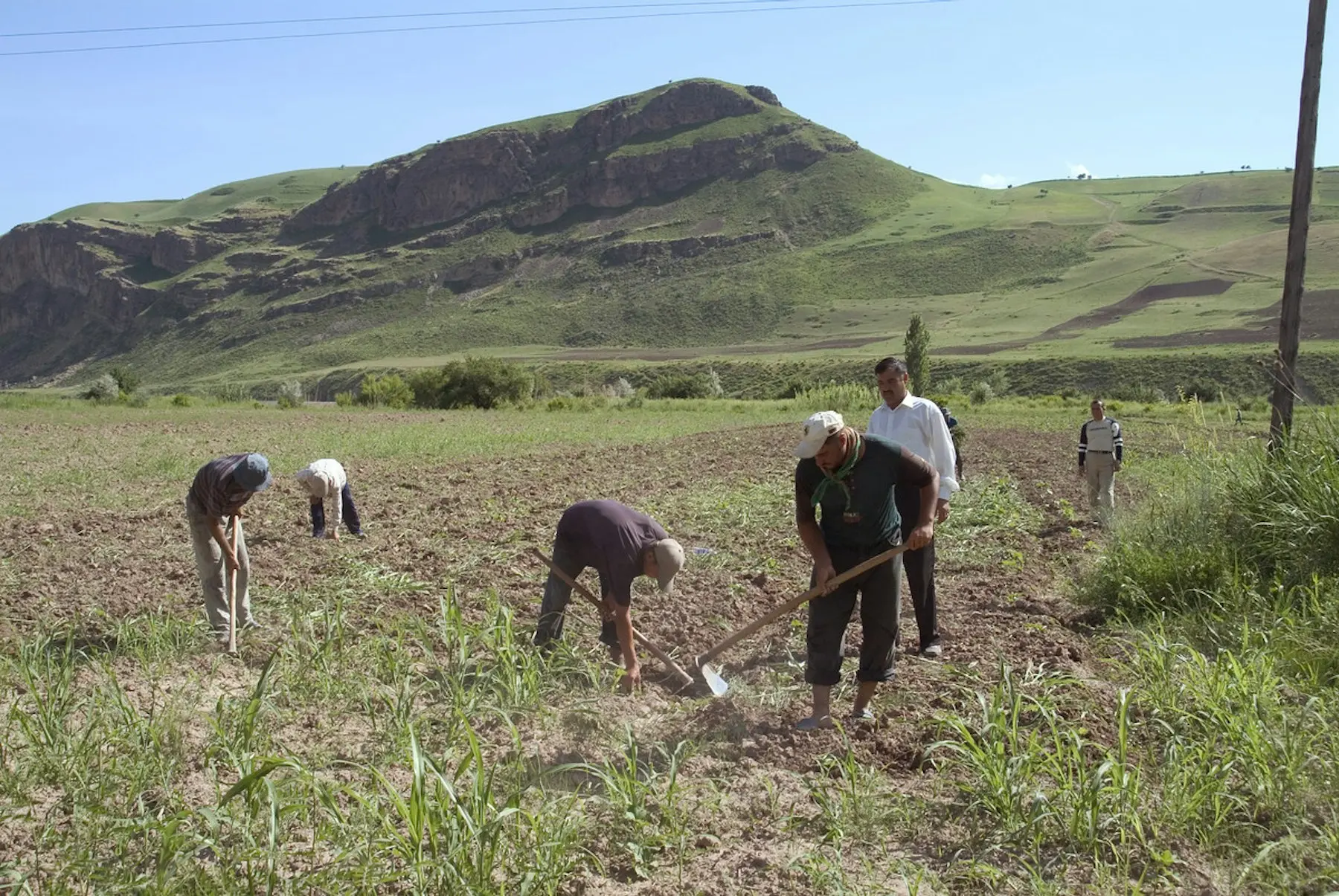 Tajikistan's agricultural sector is suffering