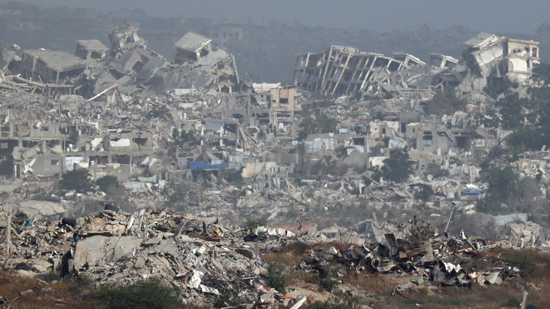 9.6% of cropland in Gaza is accessible