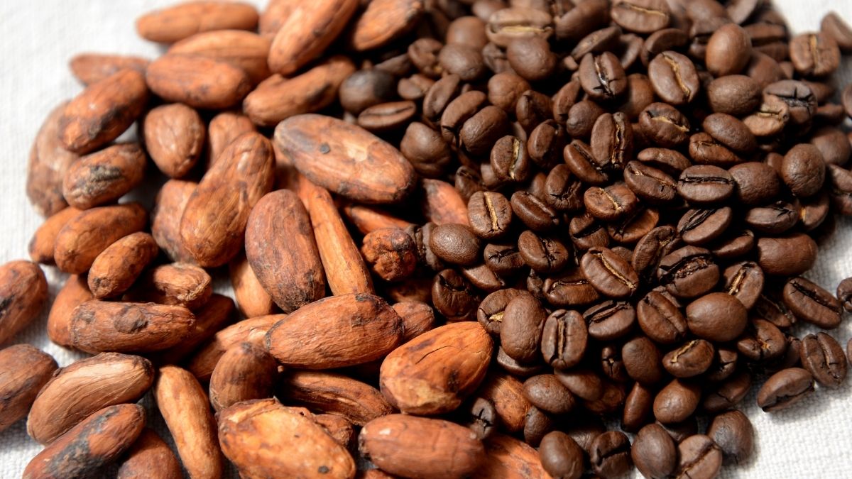 Expanding bean-free coffee and cocoa
