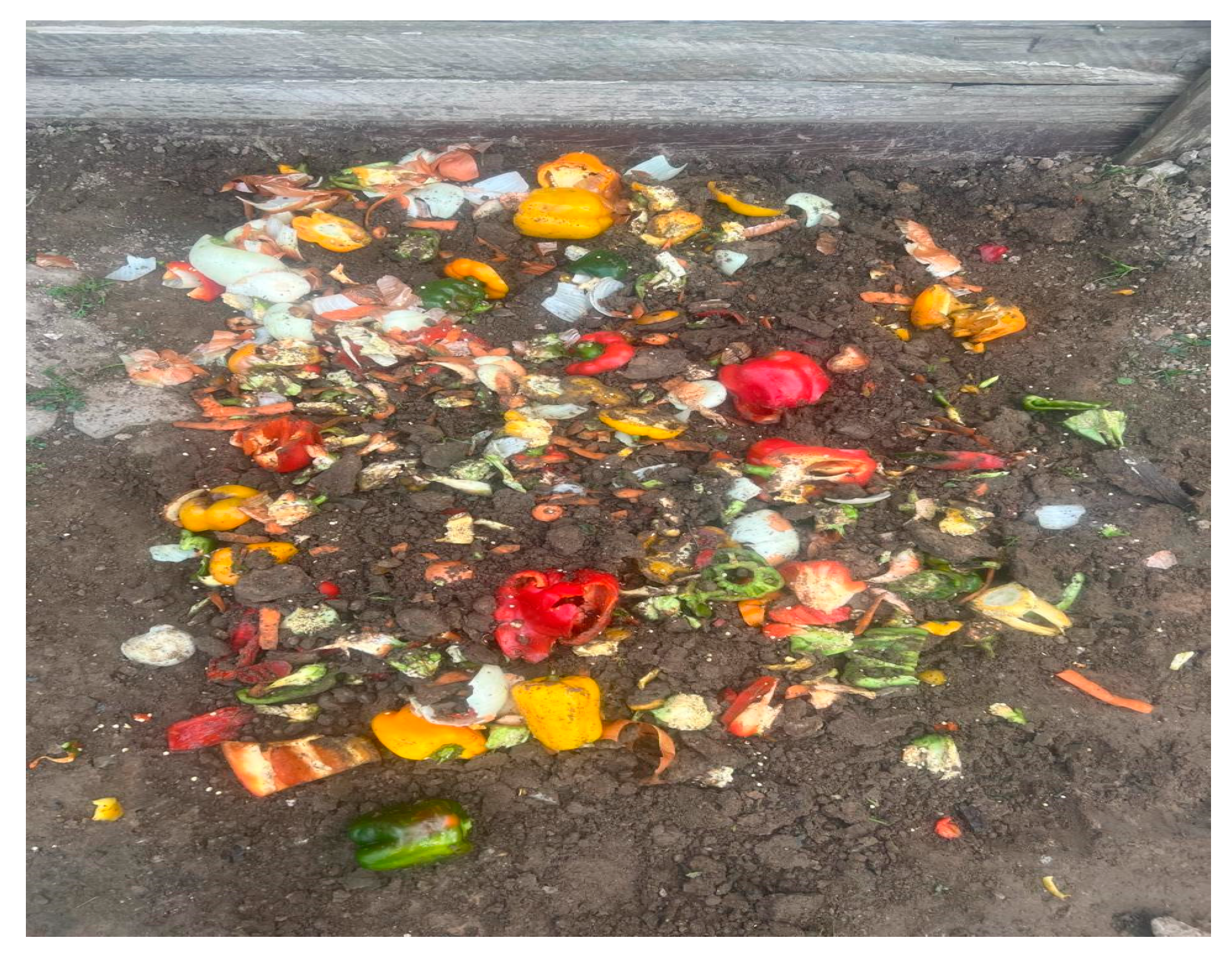 Food waste in South Africa