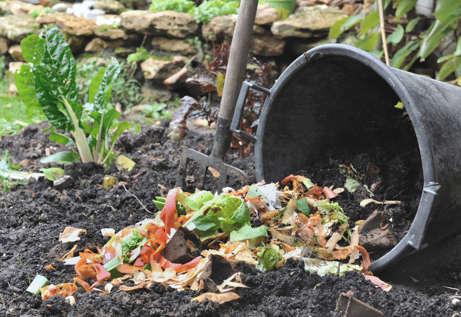 composting food waste