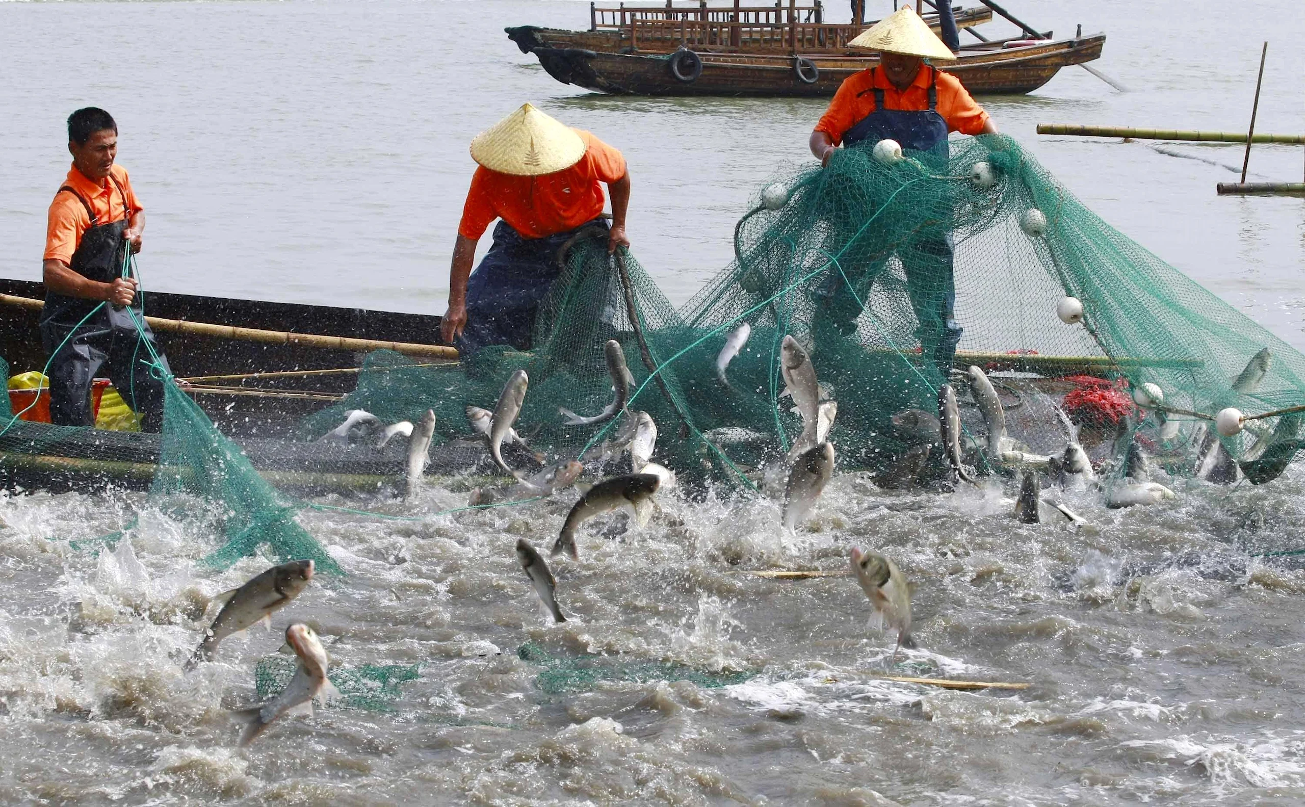 WTO Agreement on Fisheries Subsidies to enter into force today