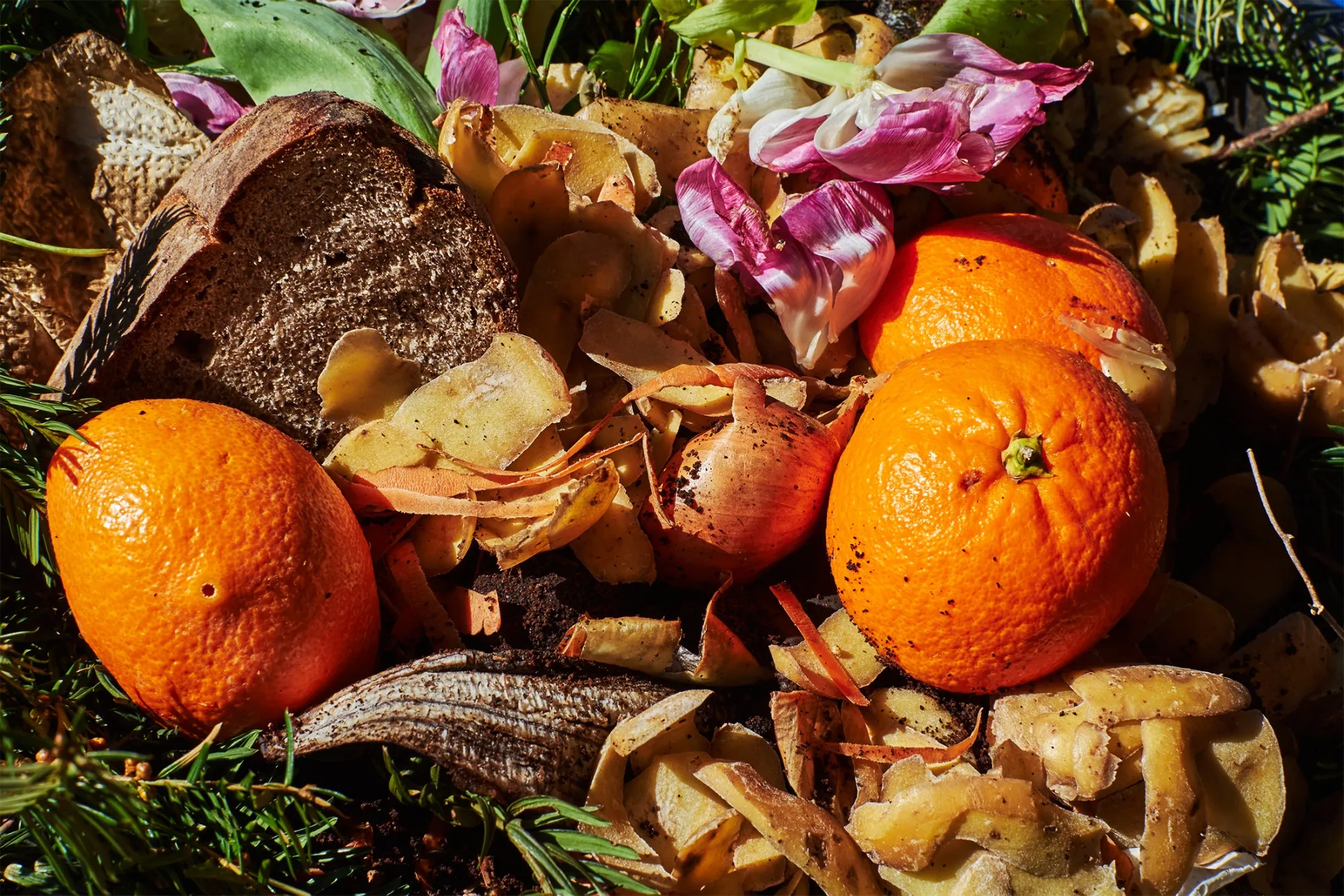Food waste in U.S.