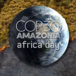 At COP30, African frustration over inadequate funding for TFFF