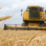 Food Price Index Continues to Decline in November 2025